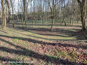 2026 Deckungsgraben DJ.jpg